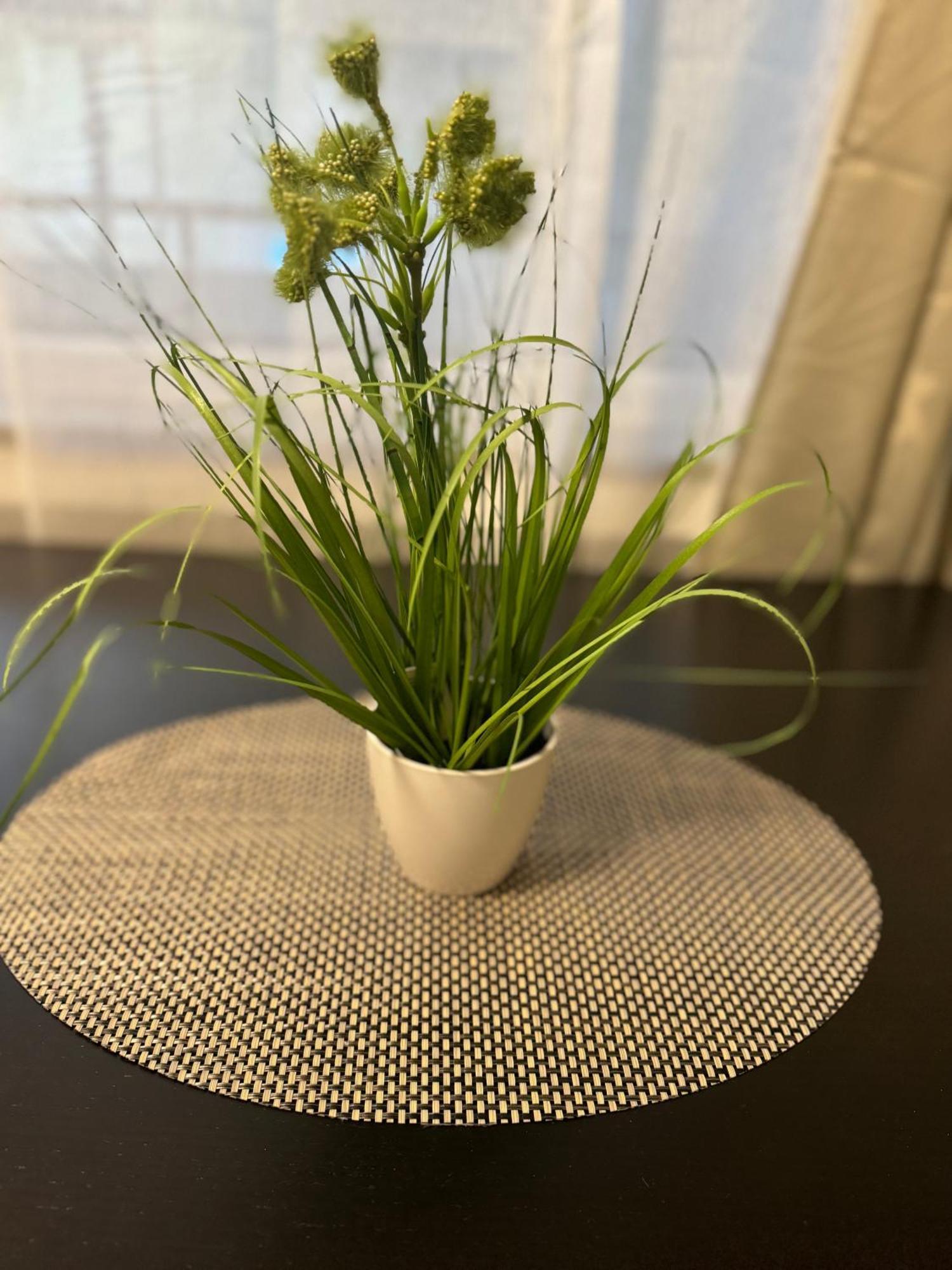 M&Bluxux Apartaments Krefeld Bagian luar foto